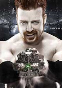 F PPV Elimination Chamber 2012