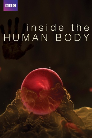 wW Inside the Human Body