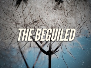 ĵ The Beguiled