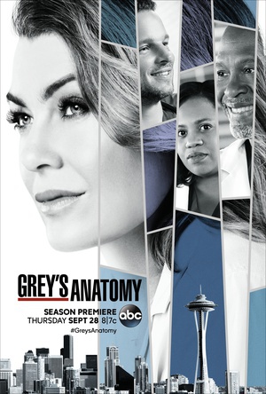 t ʮļ Grey's Anatomy Season 14