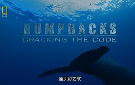 ҵ^L֮ National.Geographic.Humpbacks.Cracking.The.Code