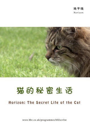 ؈ Horizon: The Secret Life of the Cat