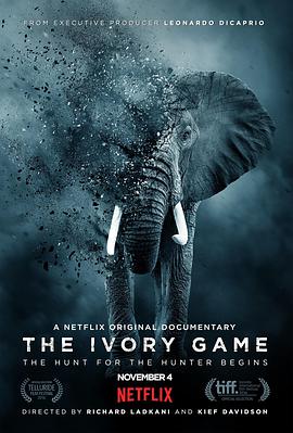 Α The Ivory Game