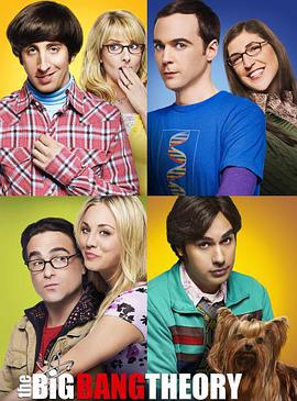 ը ڰ˼ The Big Bang Theory Season 8