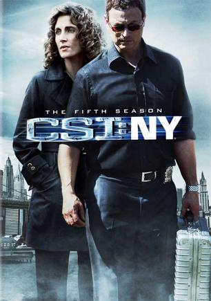 F{飺~s 弾 CSI: NY Season 5