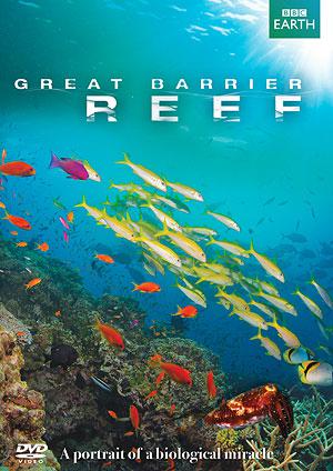 󱤽 Great Barrier Reef
