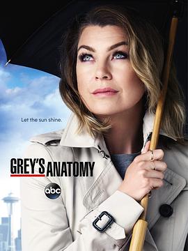 t ʮ Grey's Anatomy Season 12