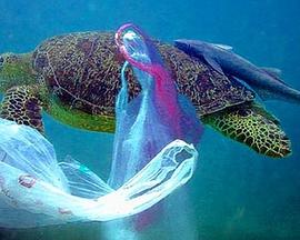 ϣĺ Plastic: The Real Sea Monster