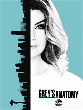t ʮ Grey's Anatomy Season 13