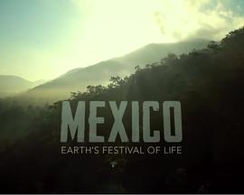 ī磺Ŀg Mexico: Earth's Festival Of Life