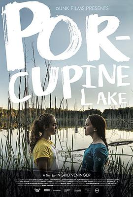 ⬺ Porcupine Lake