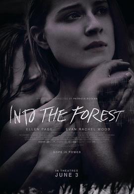 ɭ̎ Into the Forest