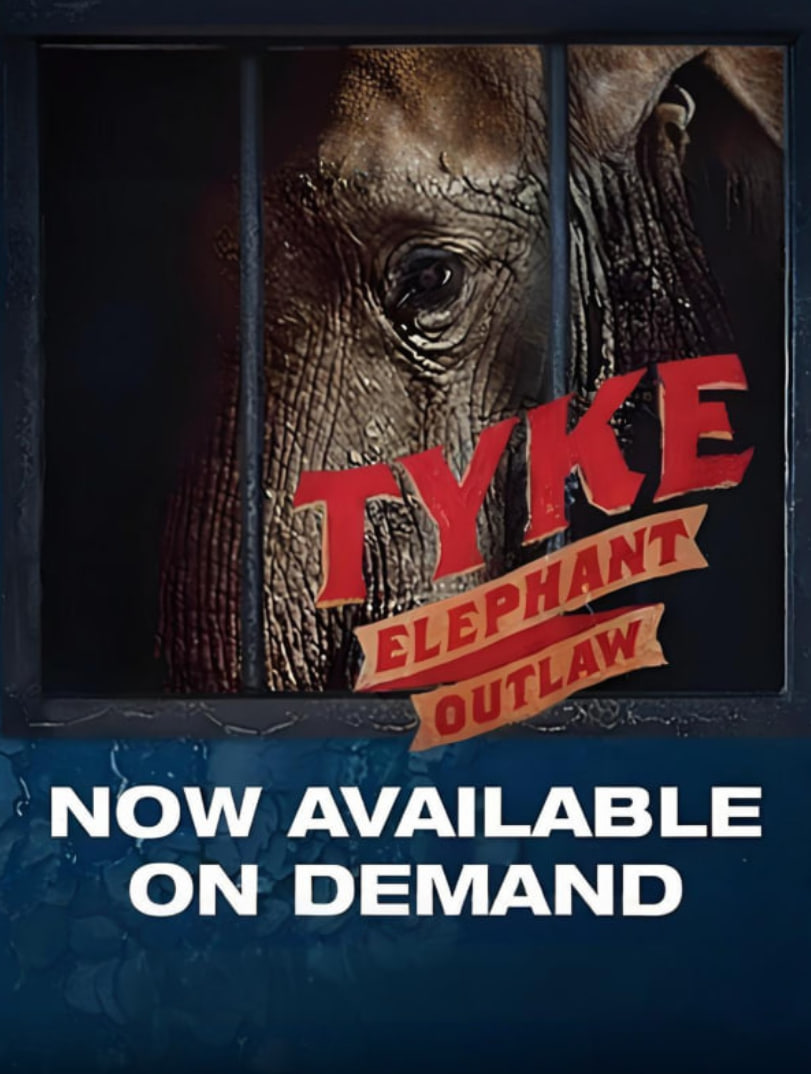 ��;С��̩��