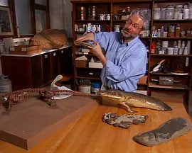 ������ 2007