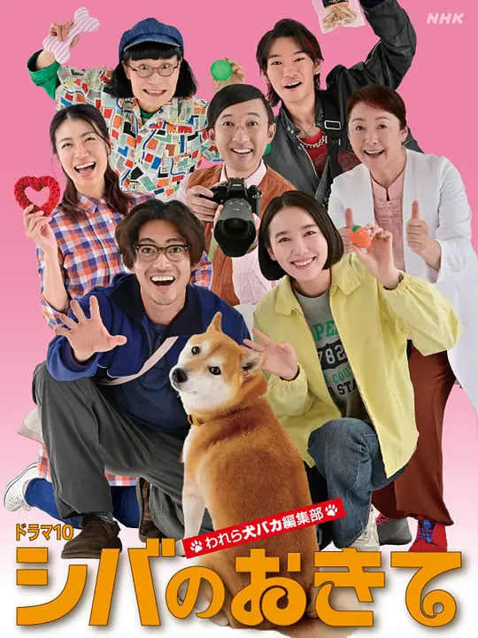 ��Ȯ��Ҏ�ء��҂��@Ⱥ���V��݋��