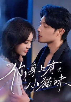 ��������С؈ζ